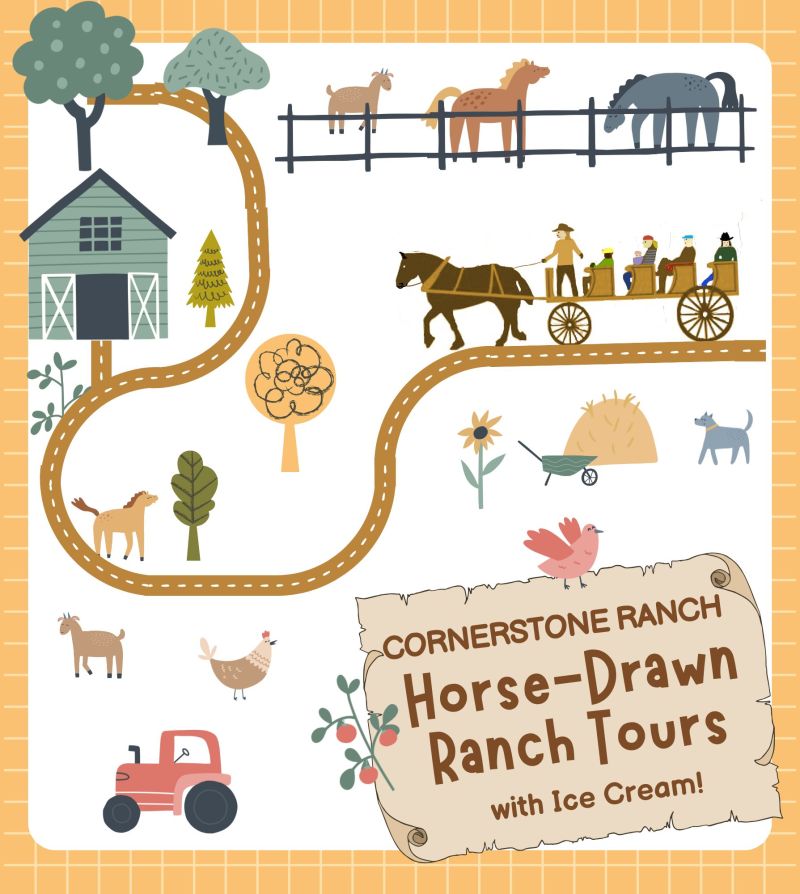 Horse-Drawn Ranch Tours Illustrated ranch map with animals, trees, barn, horse-drawn tour, and text: 'Horse-Drawn Ranch Tours with Ice Cream'.
