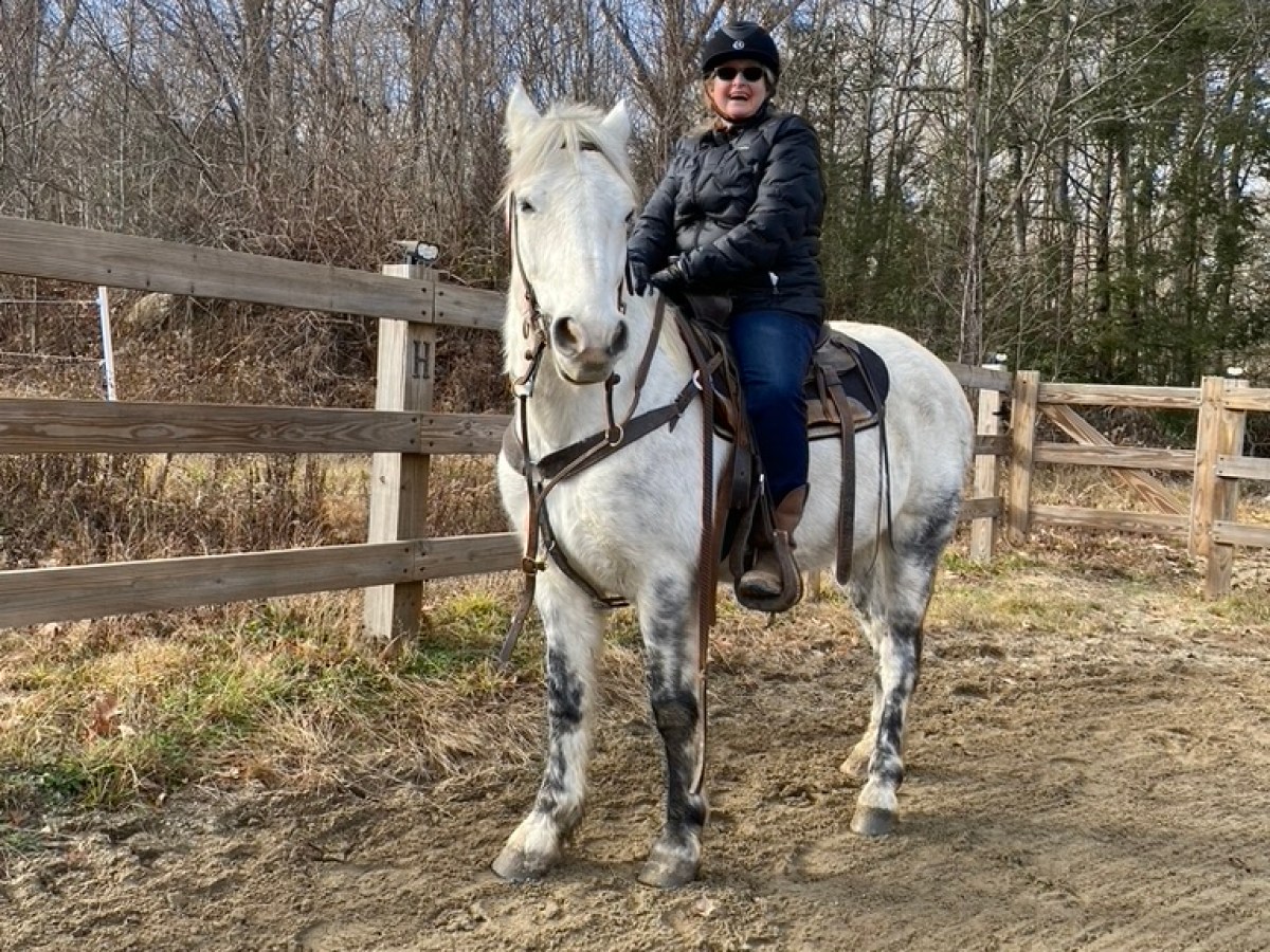 Person in helmet and jacket riding a white horse on a dirt path beside a wooden fence.