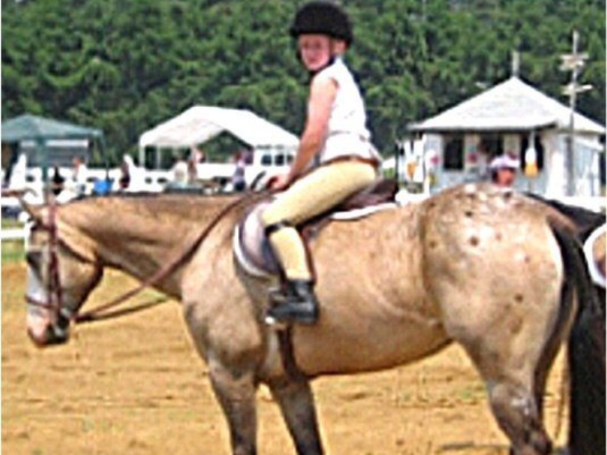 Person riding a horse on a dirt arena, wearing a helmet and riding gear.