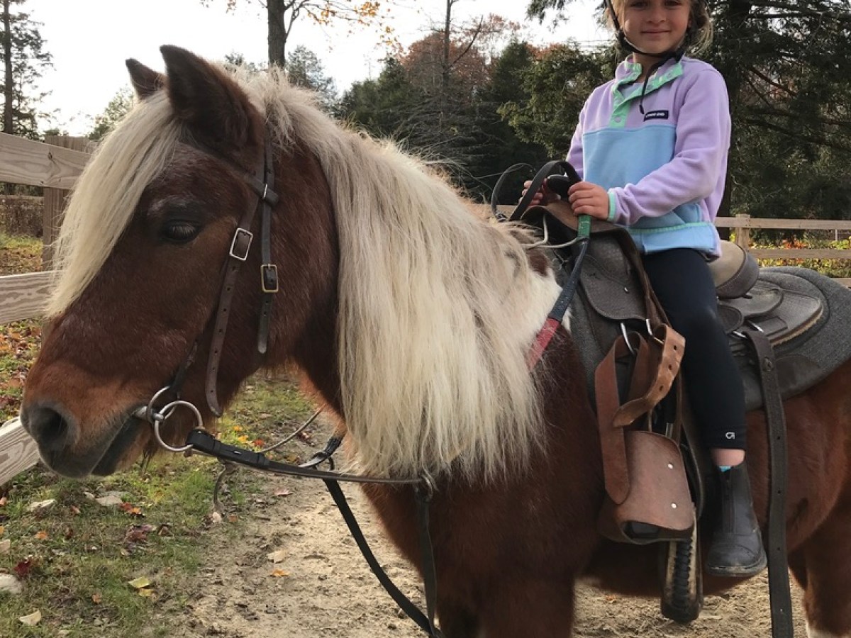 Child wearing a helmet sitting on a brown pony with a white mane in an outdoor setting.