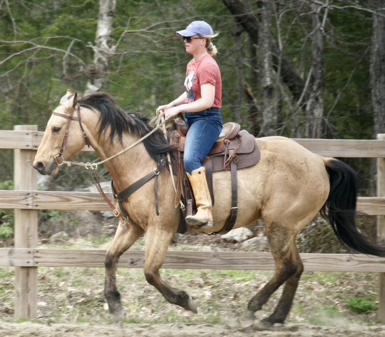 Person riding a brown horse along a fenced dirt path with trees in the background.