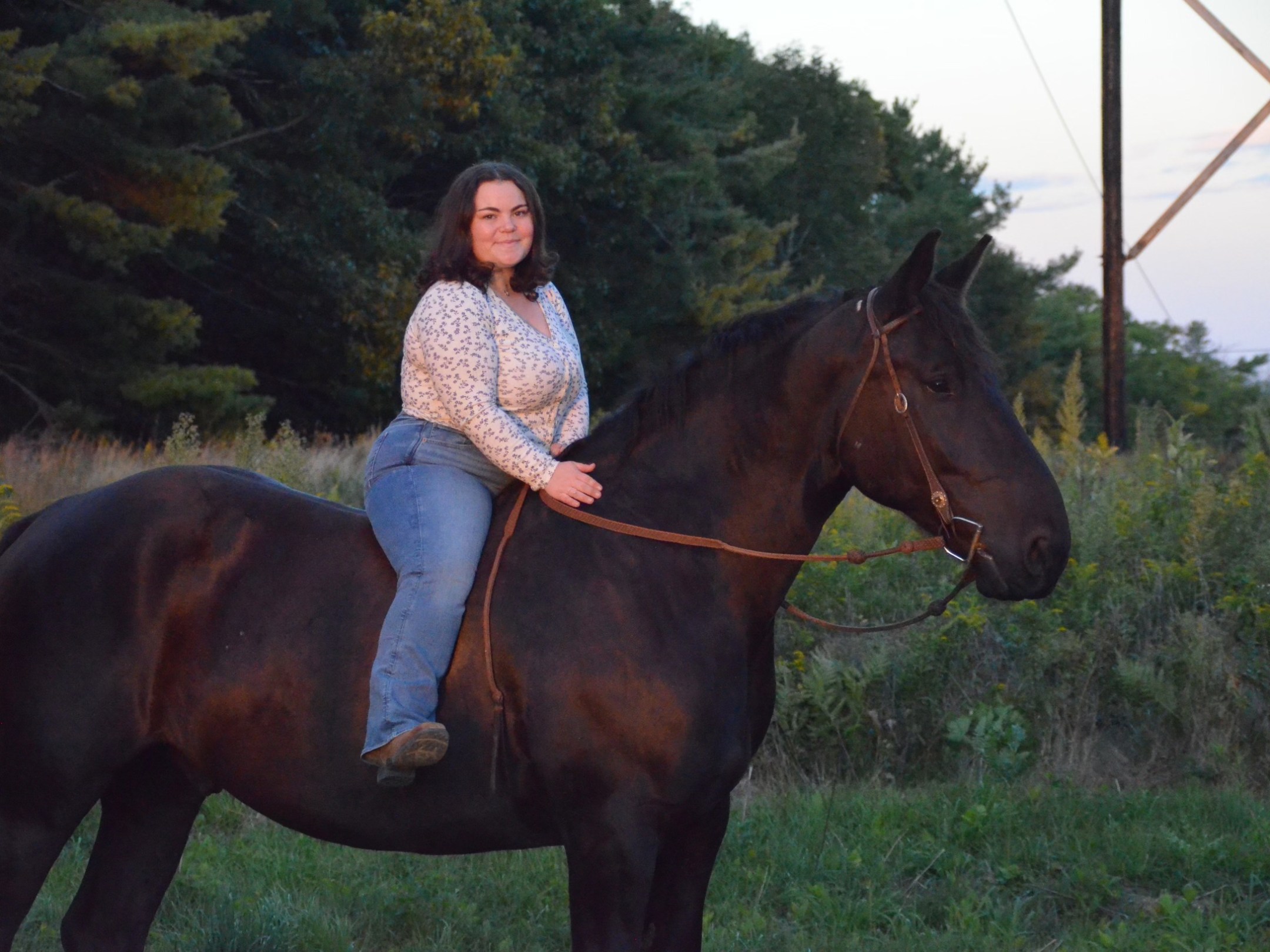 Person riding a dark horse in a green field with trees and power lines in the background.