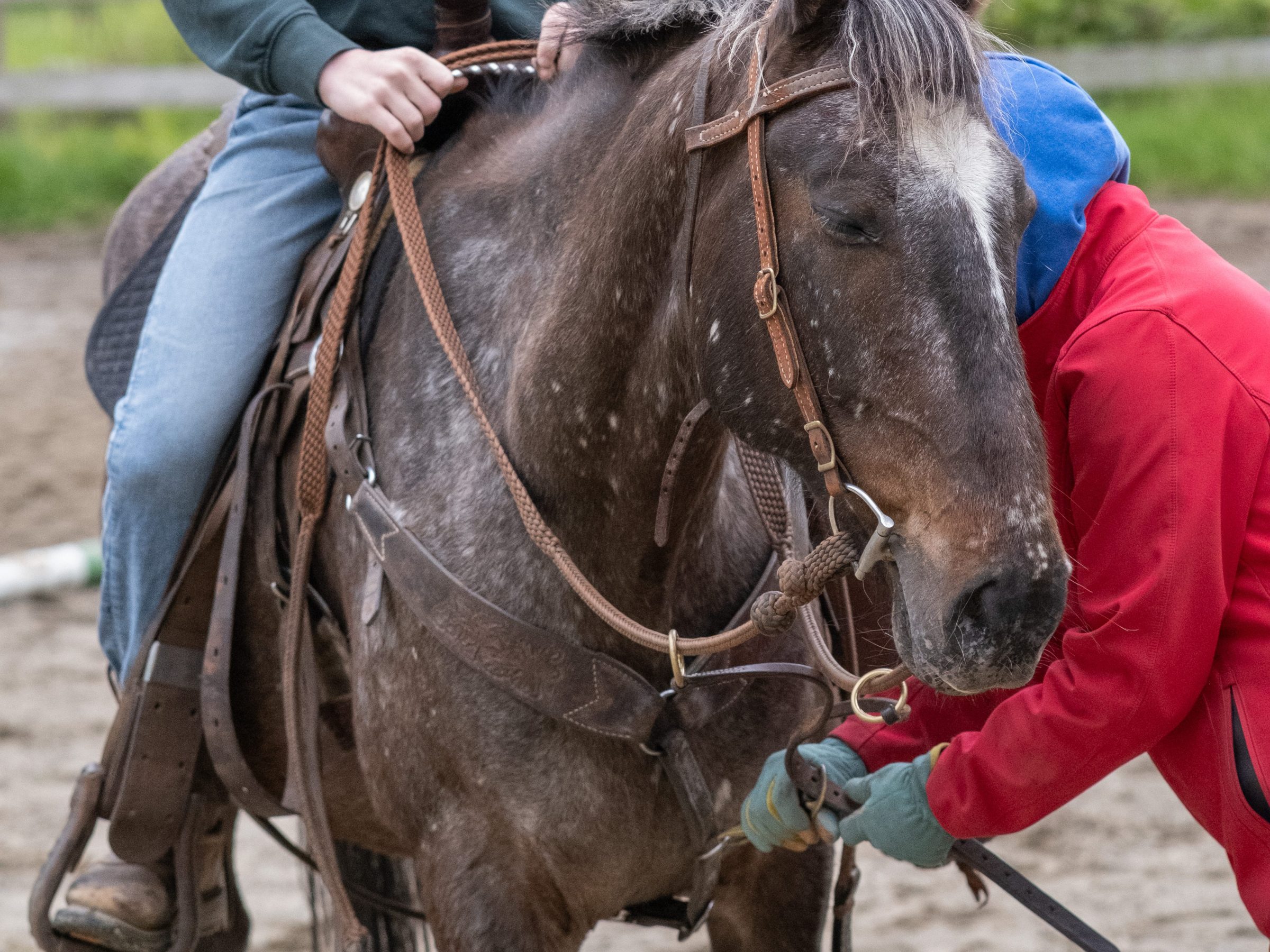 Person in a helmet and sweater riding a horse with another person adjusting harness.