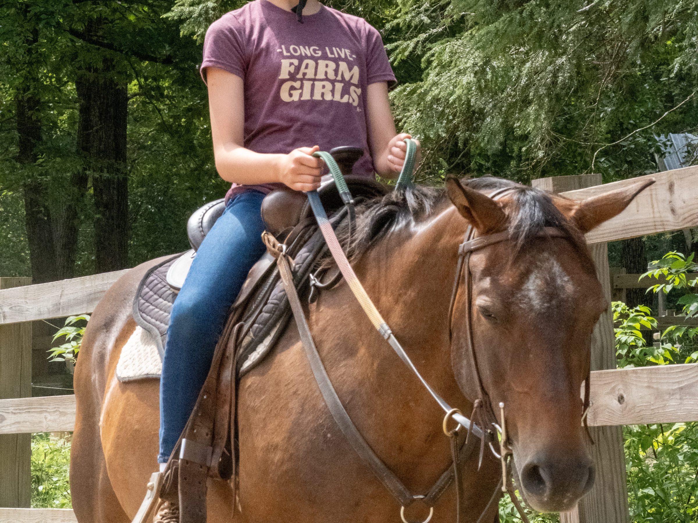Person wearing a helmet riding a horse on a sunny day.