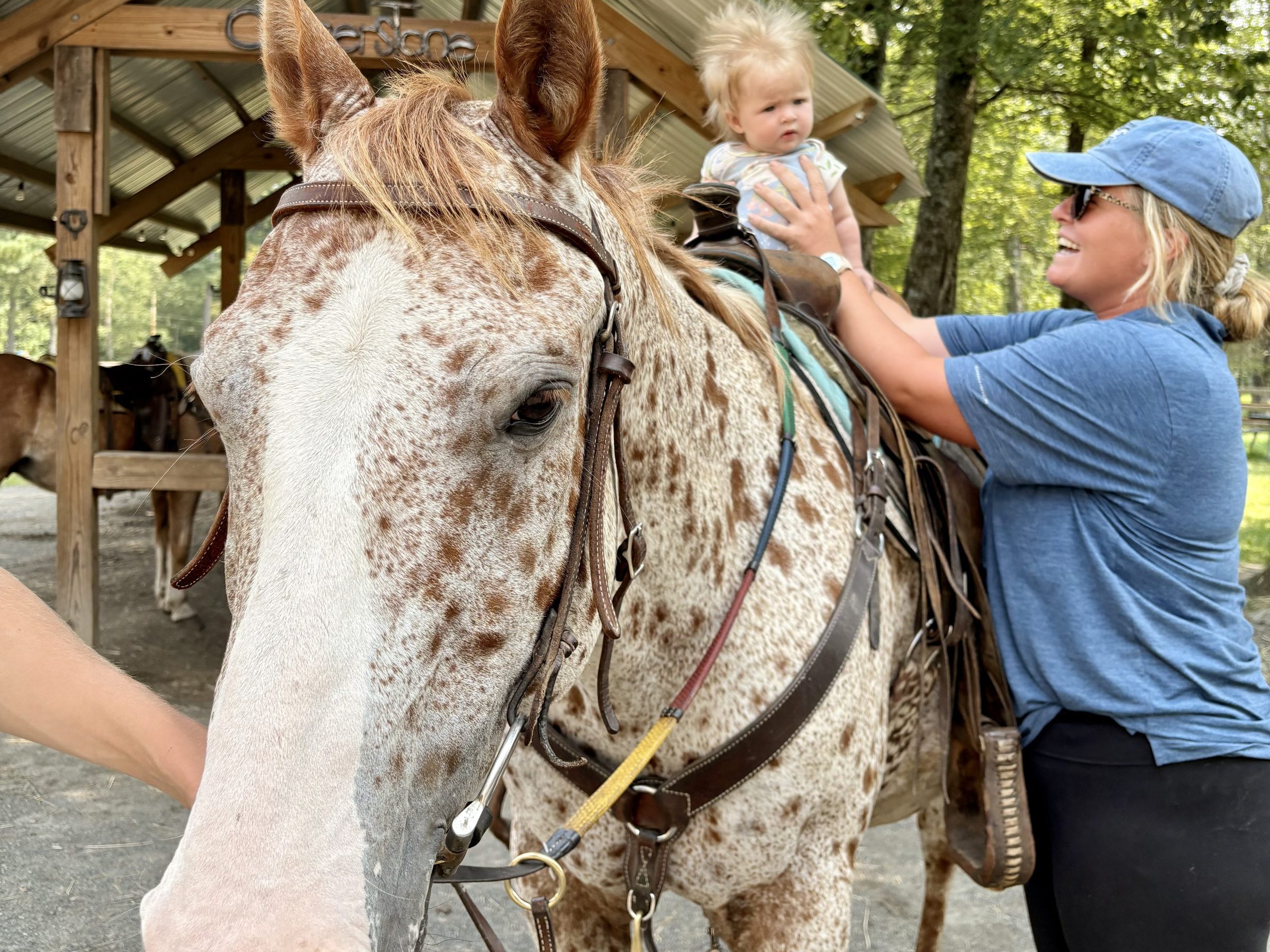 Child being held on a speckled horse with a woman nearby under a metal-roofed shelter.