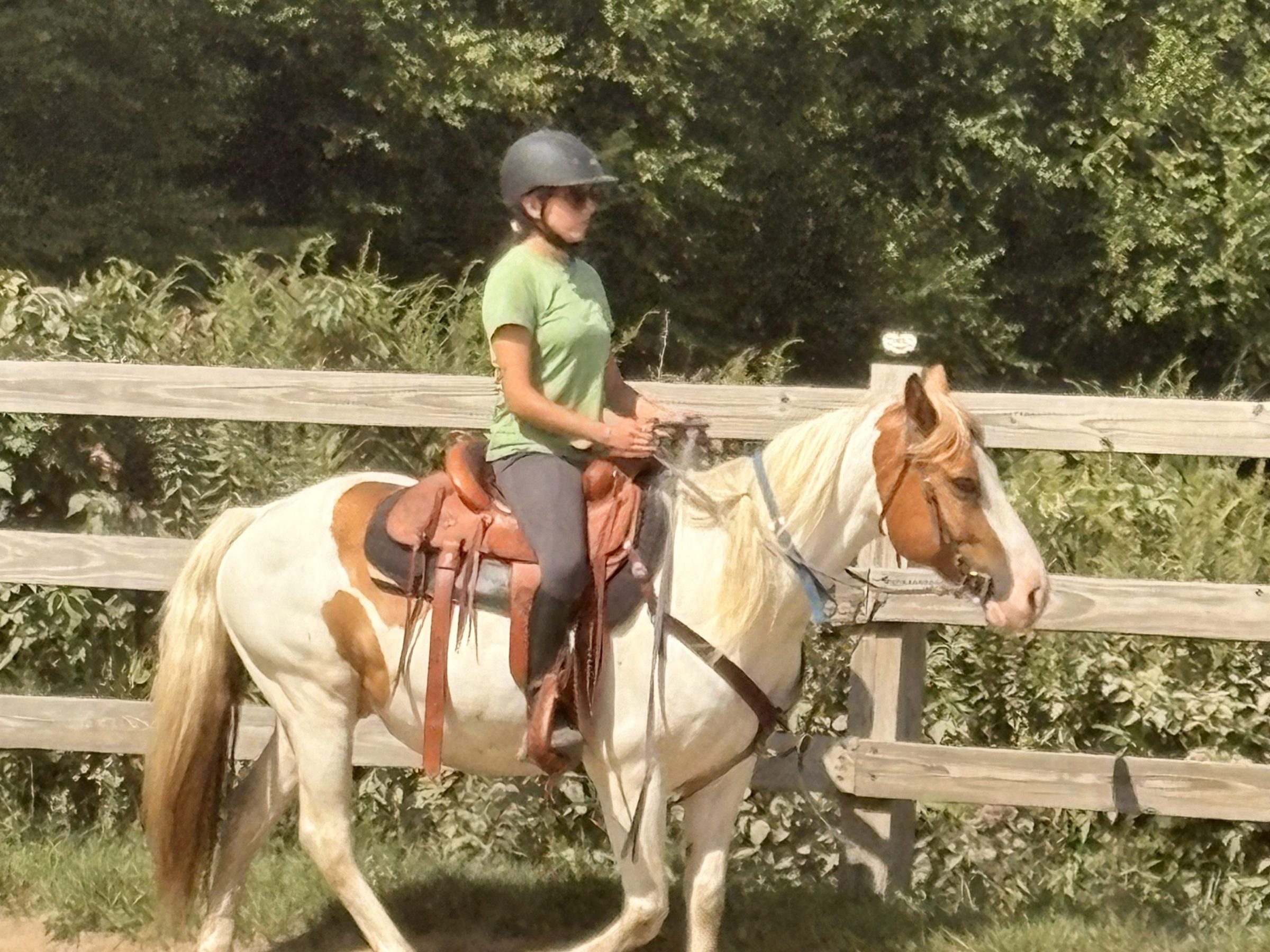 Person in helmet riding a brown and white horse near a wooden fence with trees in the background.