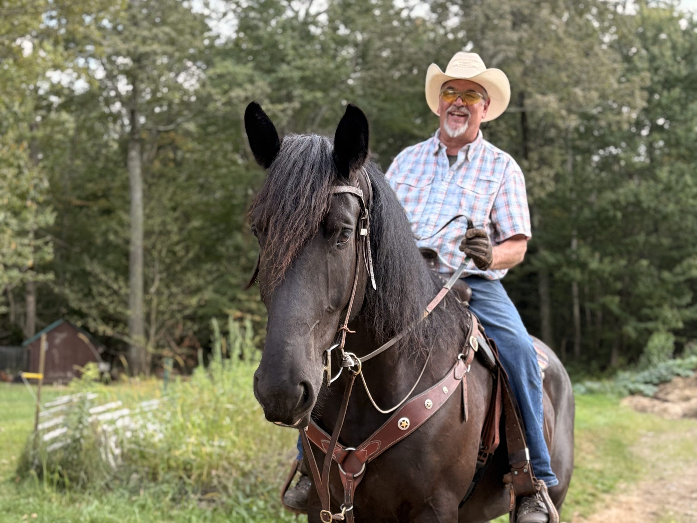Man in a cowboy hat riding a black horse on a dirt path in a wooded area.
