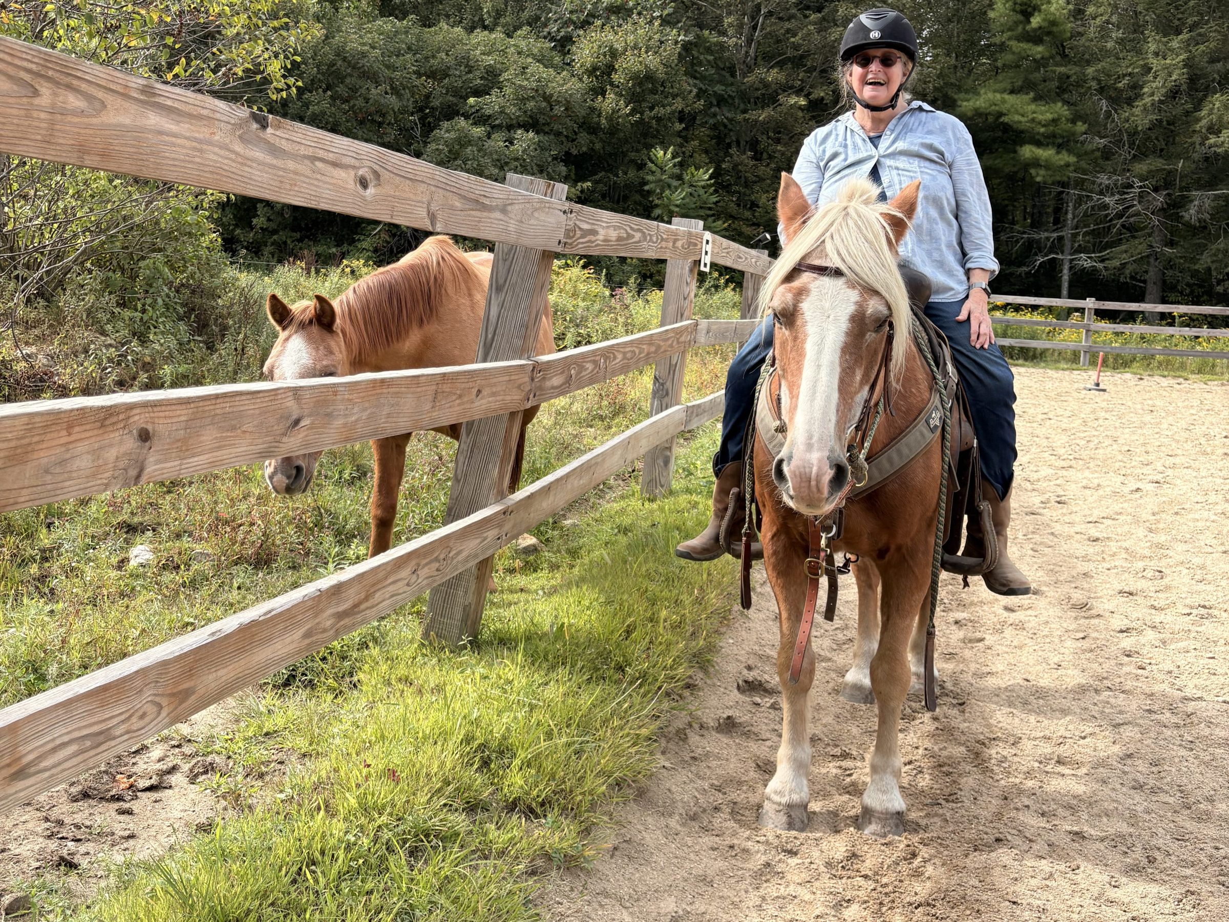Person riding a horse on a sandy path next to a fence with another horse behind it.