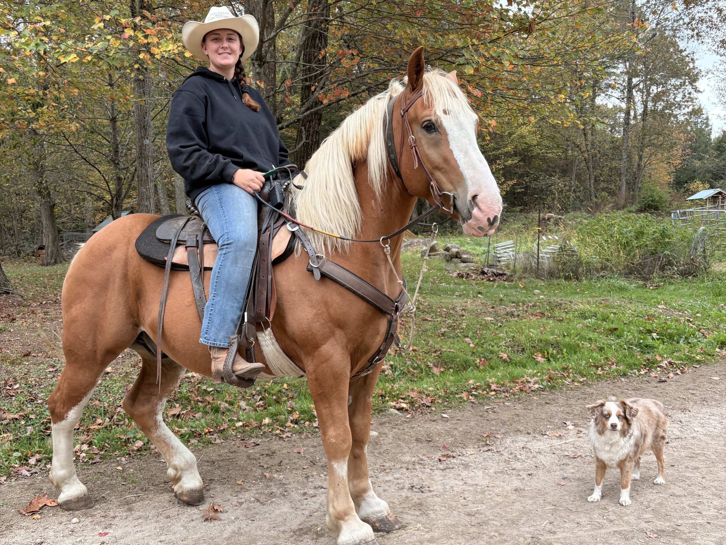 Person in cowboy hat riding a horse, with a dog nearby on a dirt path with trees in the background.