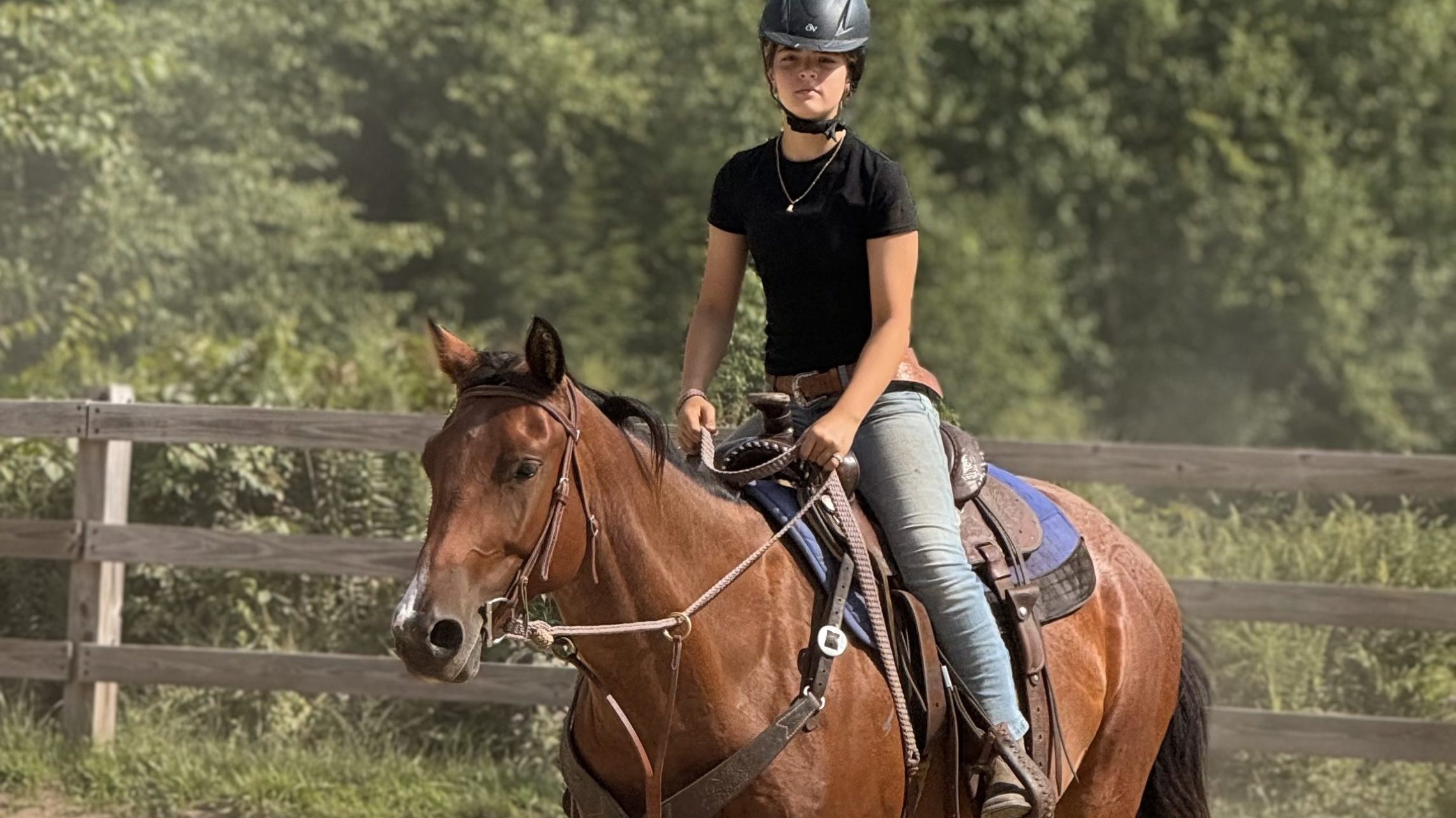 Person riding a horse in an outdoor arena with trees in the background.