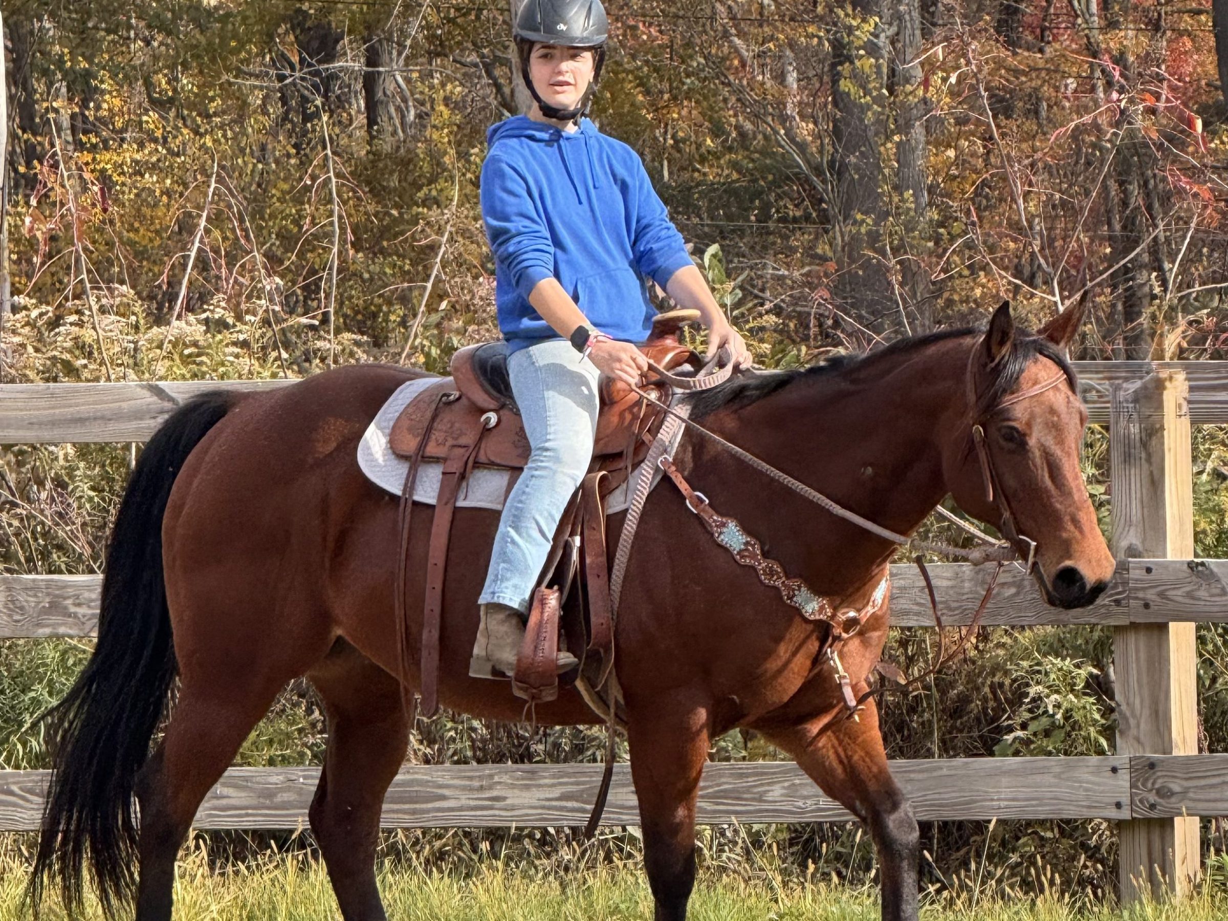 Person in blue hoodie riding a brown horse in an outdoor arena.