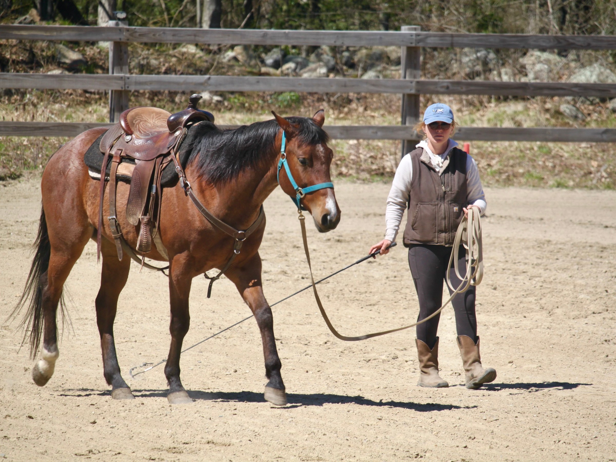 Person leading a saddled horse on a sandy path in an enclosure.