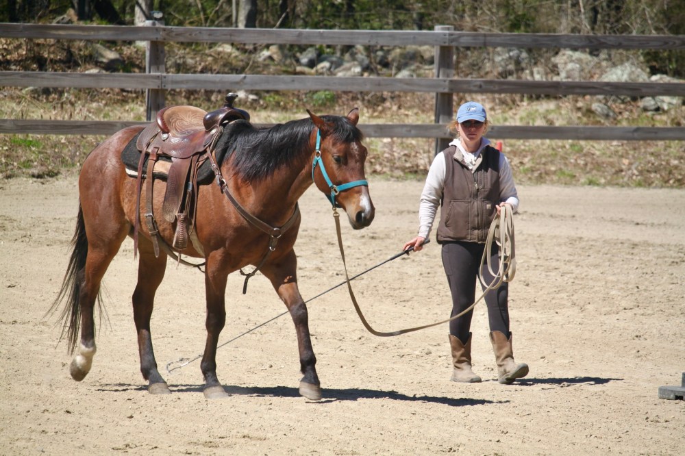 Person leading a saddled horse on a sandy path in an enclosure.