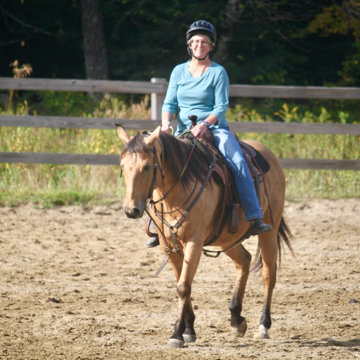 Person riding a brown horse in a sandy enclosure with trees in the background.