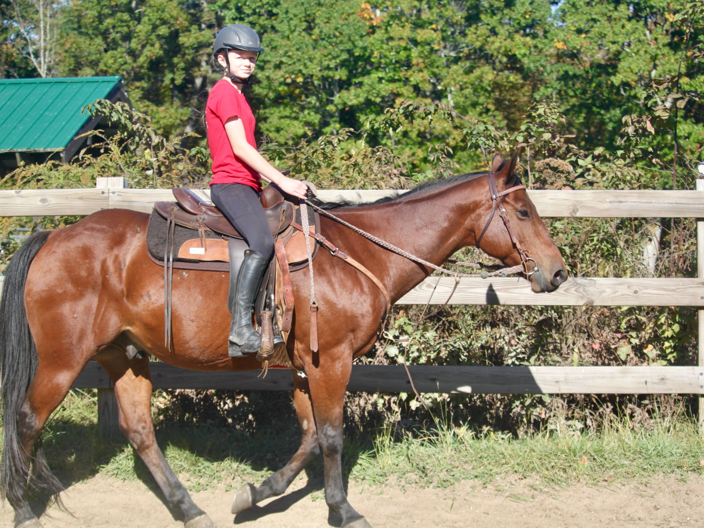Person in red shirt riding a brown horse in a fenced area.