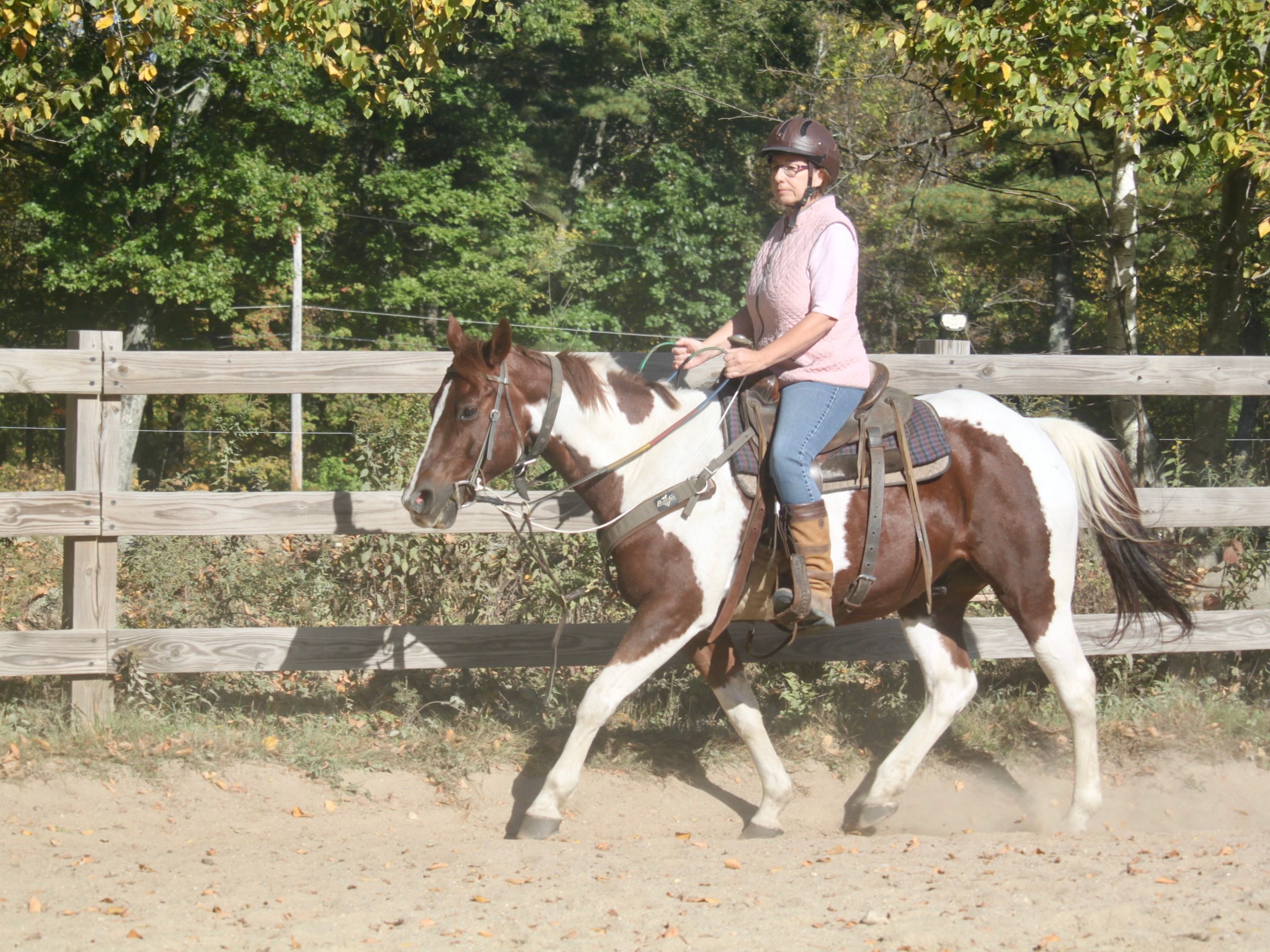 Person riding a brown and white horse by a wooden fence with trees in the background.