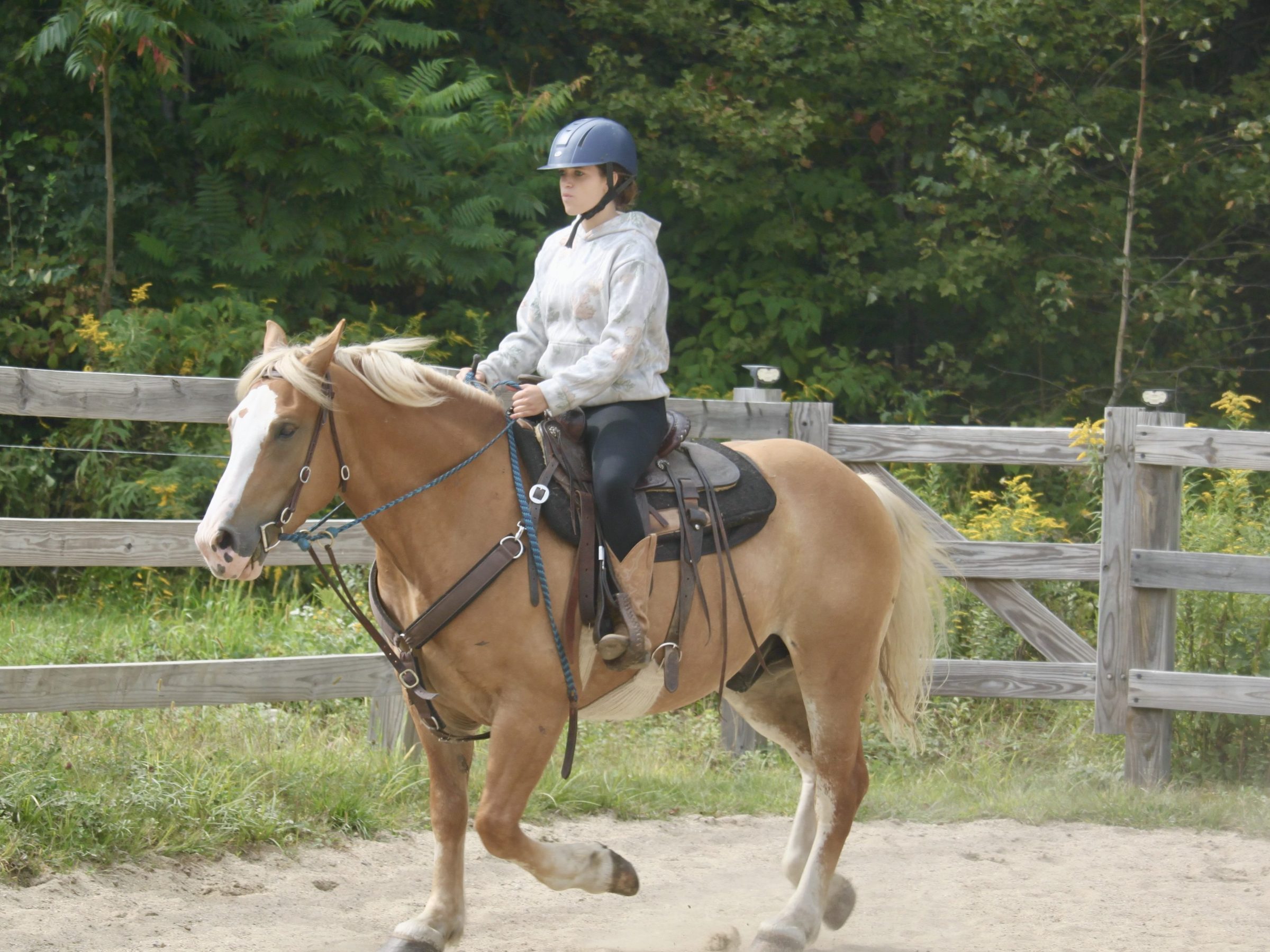 Person wearing a helmet riding a tan horse in an outdoor fenced area.