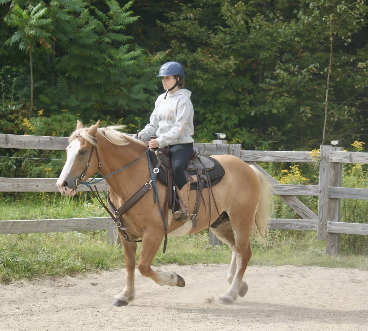 Person wearing a helmet riding a tan horse in an outdoor fenced area.