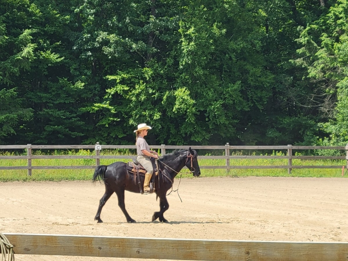 Person in a hat riding a black horse in an outdoor arena with trees in the background.