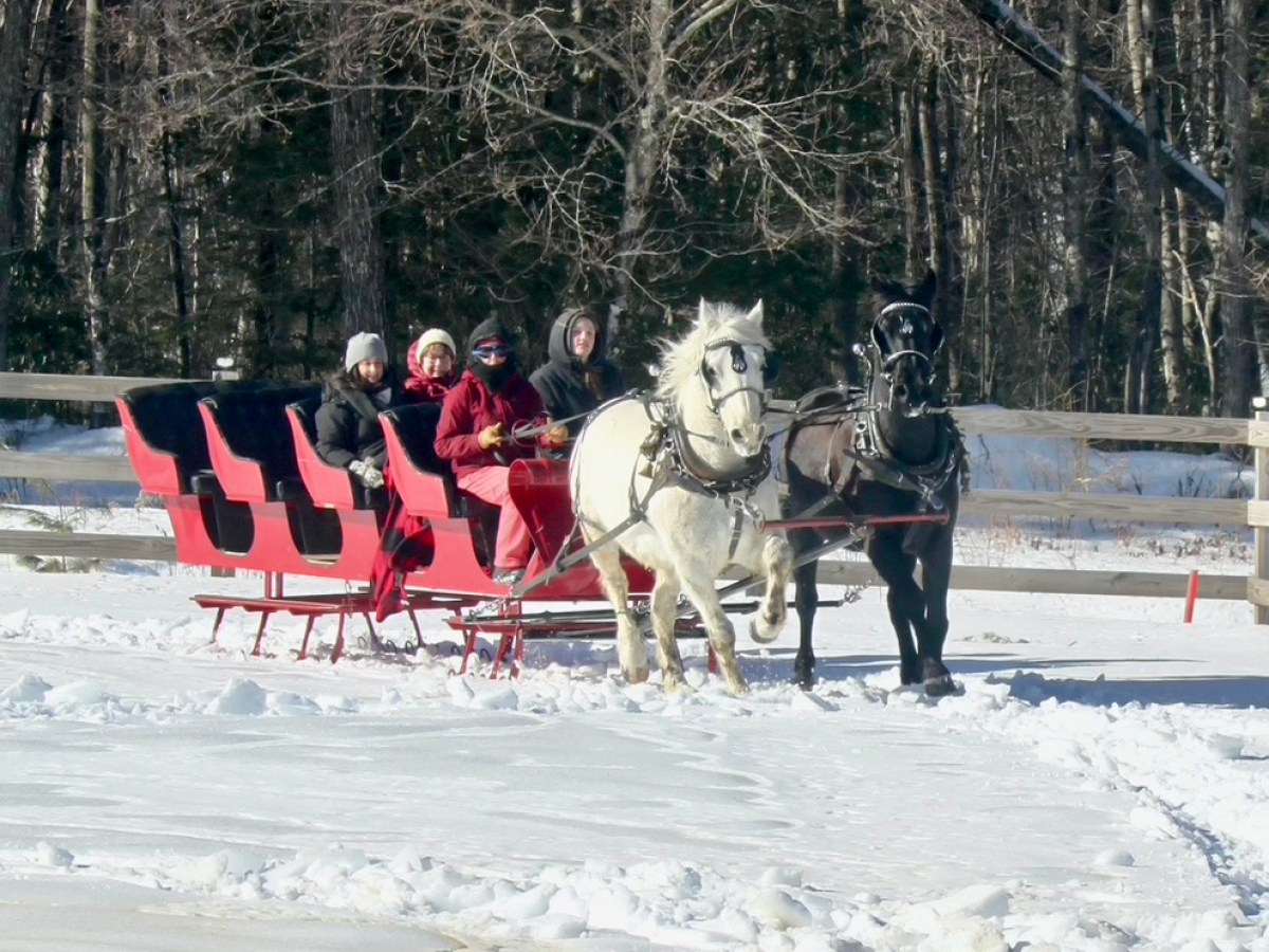 Two horses pull a red sleigh with four people on a snowy path with trees in the background.