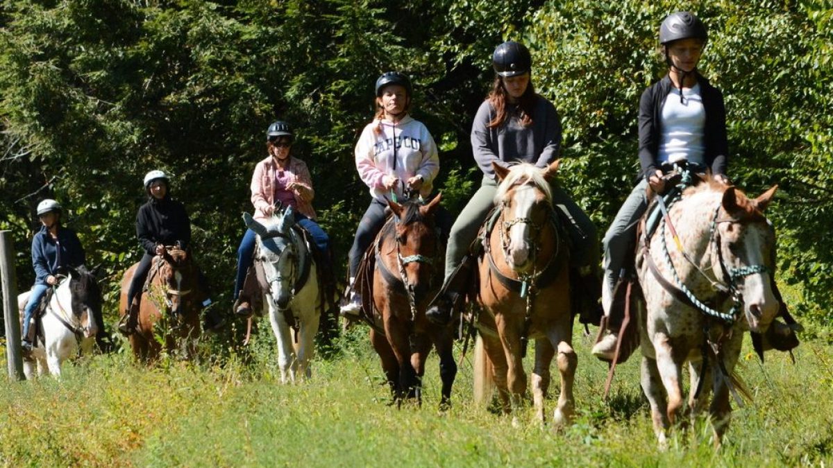 Group of people horseback riding through a grassy forest trail.