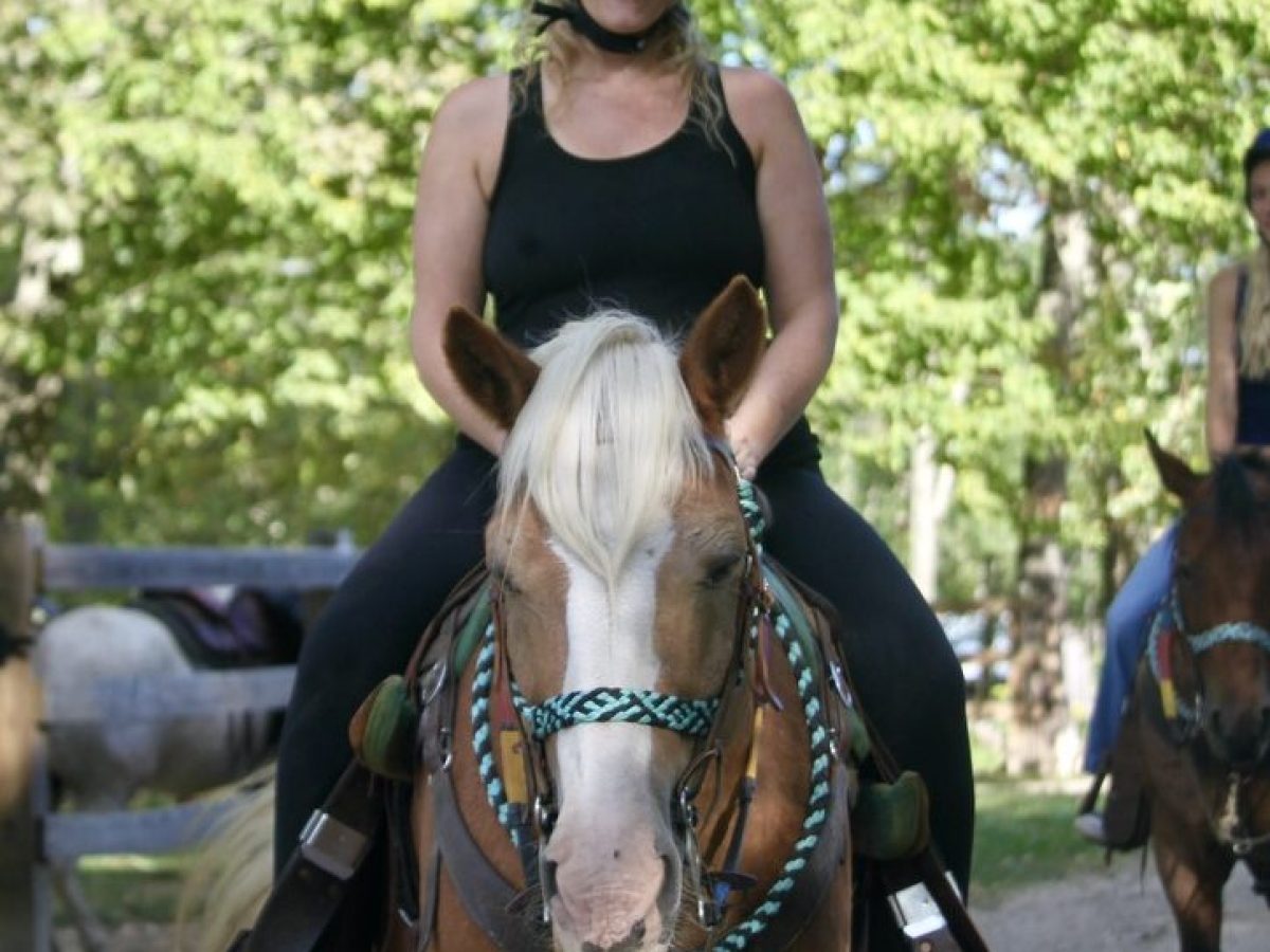 Smiling person in helmet riding a horse on a sunny day.