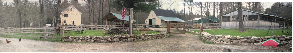 Farm scene with chickens, barn, flag, stone wall, and wooded background.