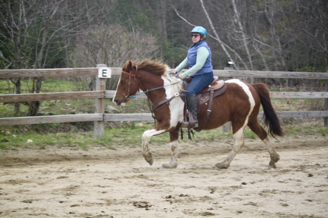 Person riding a brown and white horse in an outdoor arena.