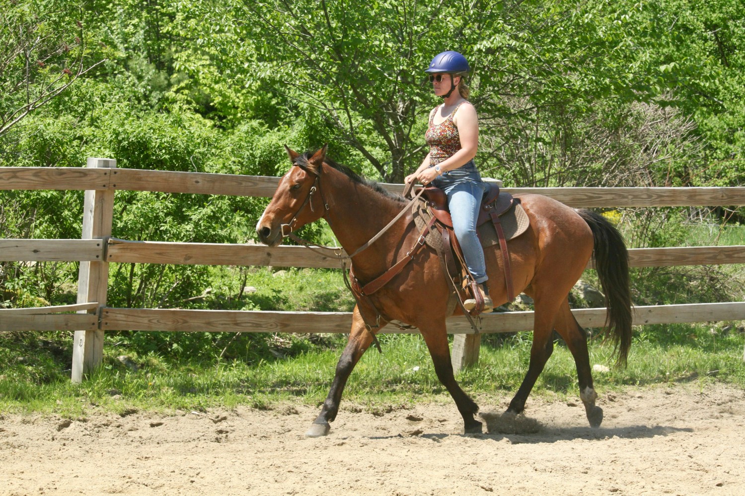 Person riding a brown horse in a fenced outdoor area with green trees.