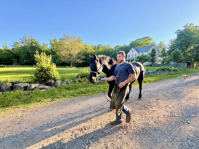 Man walking a black horse on a dirt path near a house and trees.