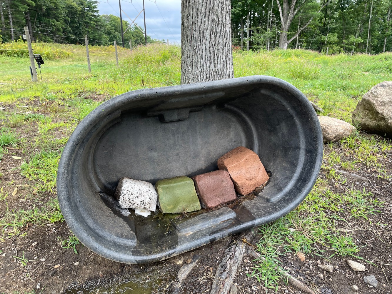 Four colored bricks in a black trough leaning against a tree.